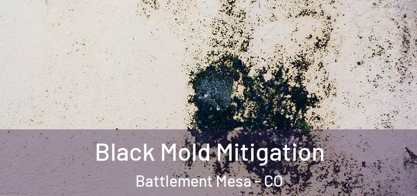  Black Mold Mitigation Battlement Mesa - CO