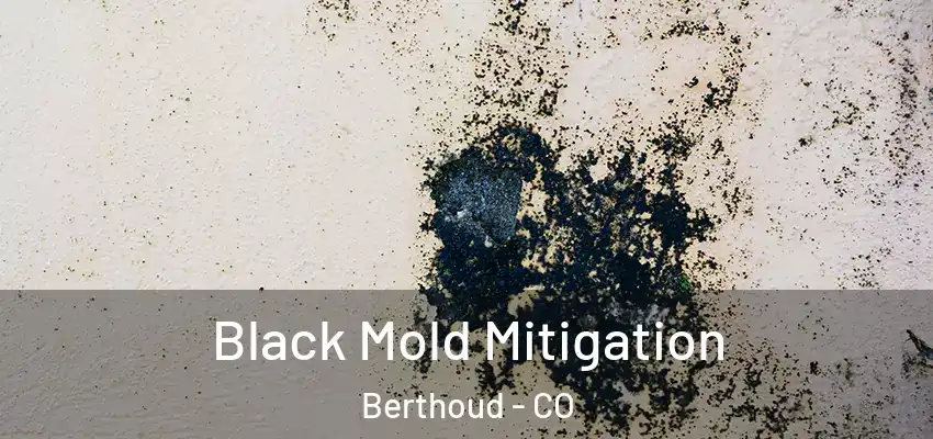  Black Mold Mitigation Berthoud - CO
