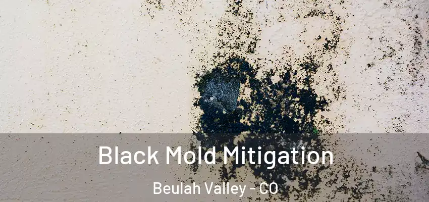  Black Mold Mitigation Beulah Valley - CO