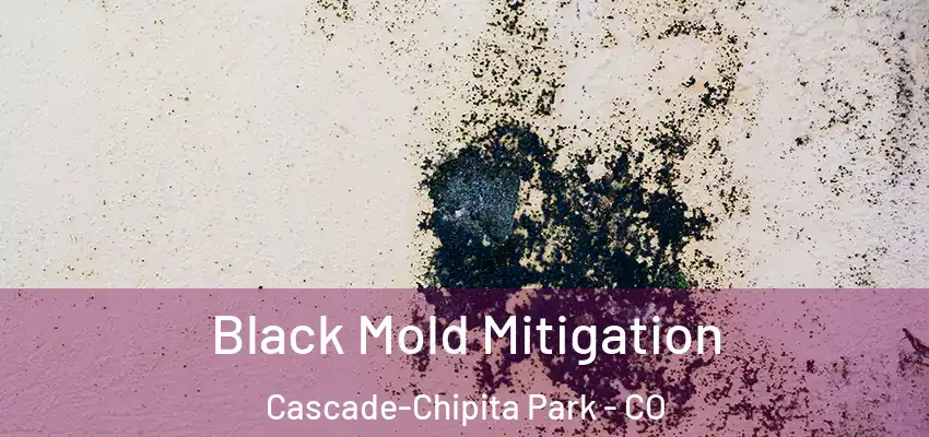  Black Mold Mitigation Cascade-Chipita Park - CO