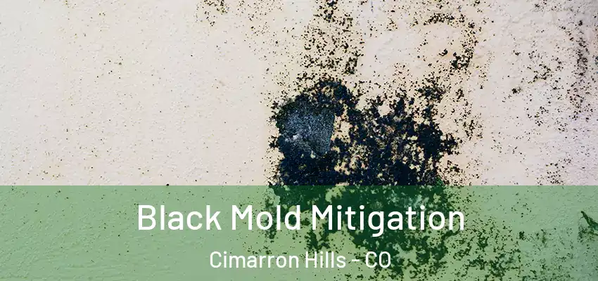  Black Mold Mitigation Cimarron Hills - CO