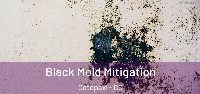 Black Mold Mitigation Cotopaxi - CO