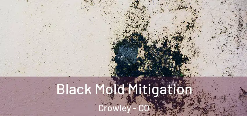 Black Mold Mitigation Crowley - CO