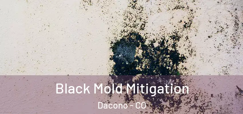 Black Mold Mitigation Dacono - CO