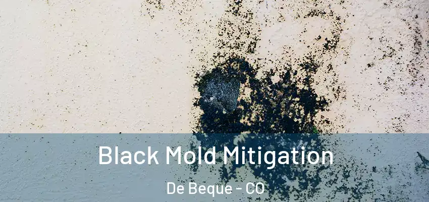 Black Mold Mitigation De Beque - CO