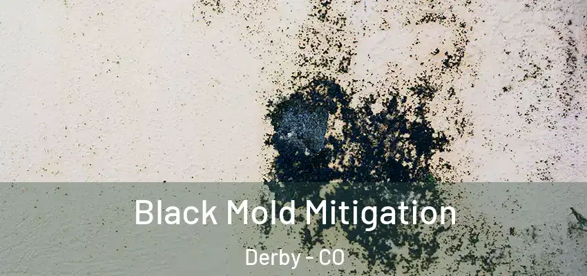 Black Mold Mitigation Derby - CO