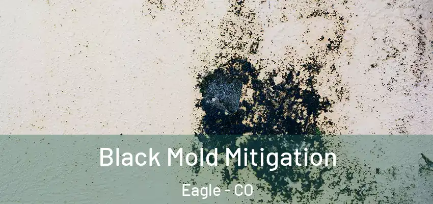 Black Mold Mitigation Eagle - CO