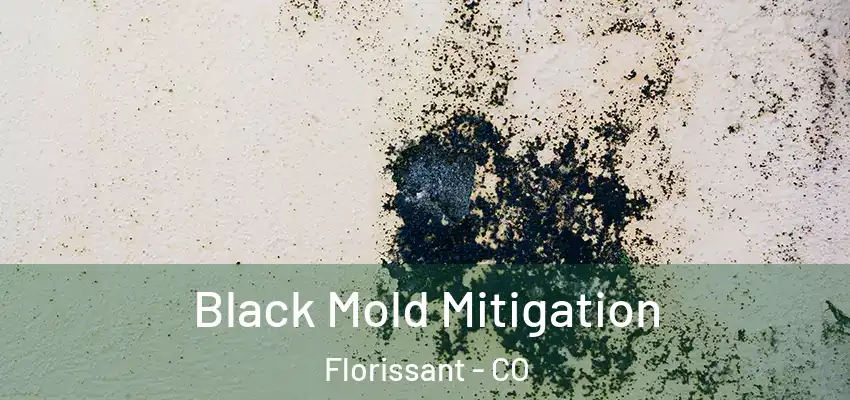 Black Mold Mitigation Florissant - CO