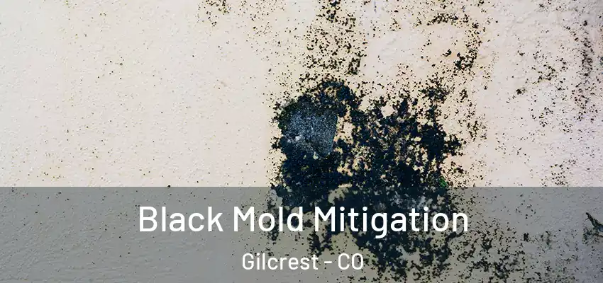 Black Mold Mitigation Gilcrest - CO