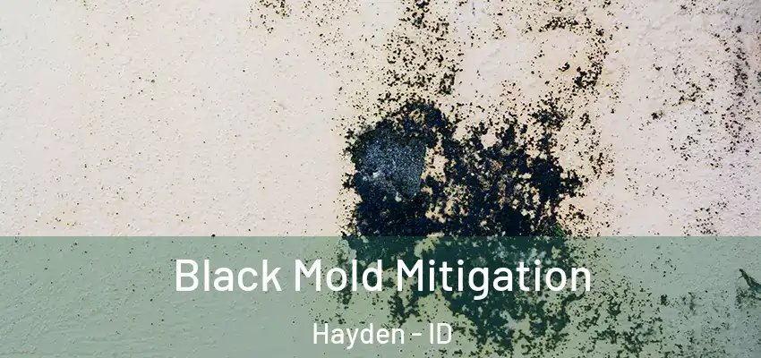  Black Mold Mitigation Hayden - ID