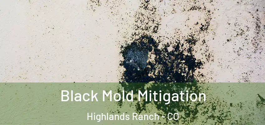 Black Mold Mitigation Highlands Ranch - CO