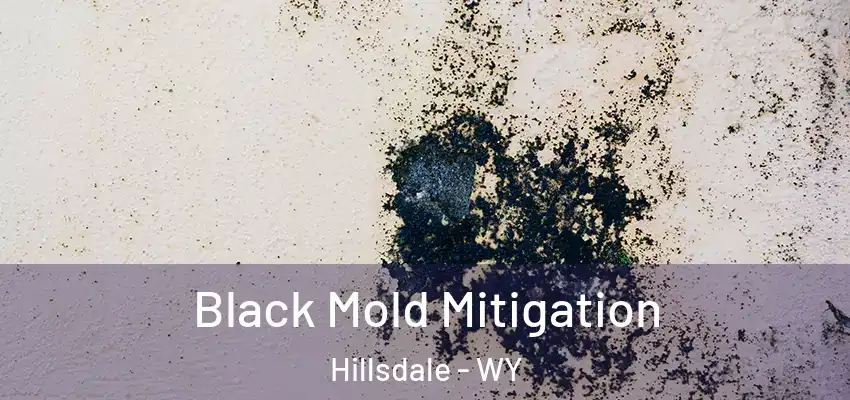 Black Mold Mitigation Hillsdale - WY