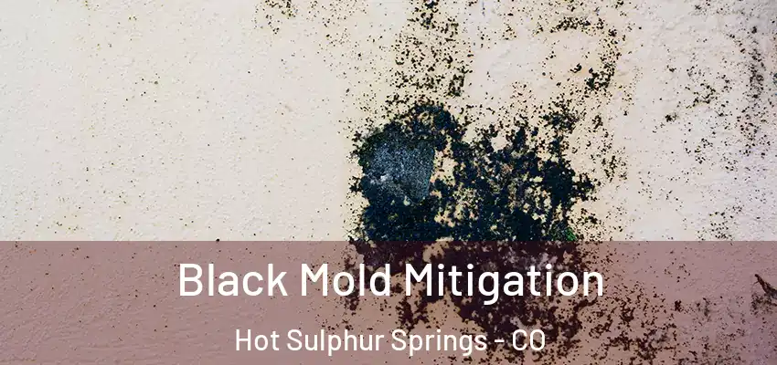  Black Mold Mitigation Hot Sulphur Springs - CO