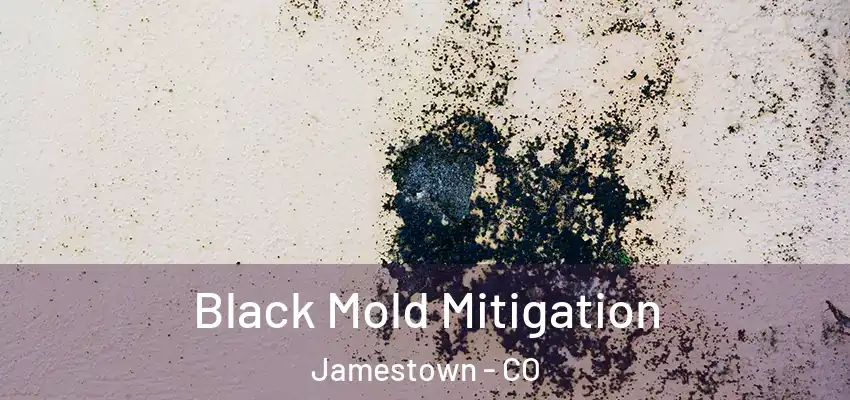 Black Mold Mitigation Jamestown - CO