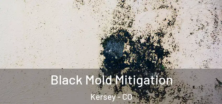 Black Mold Mitigation Kersey - CO