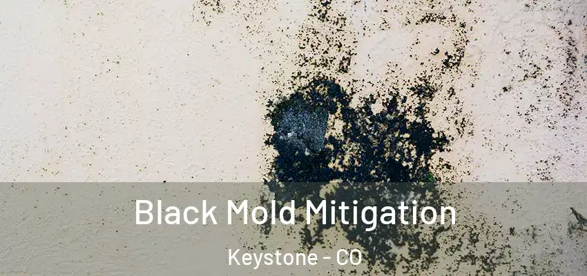 Black Mold Mitigation Keystone - CO