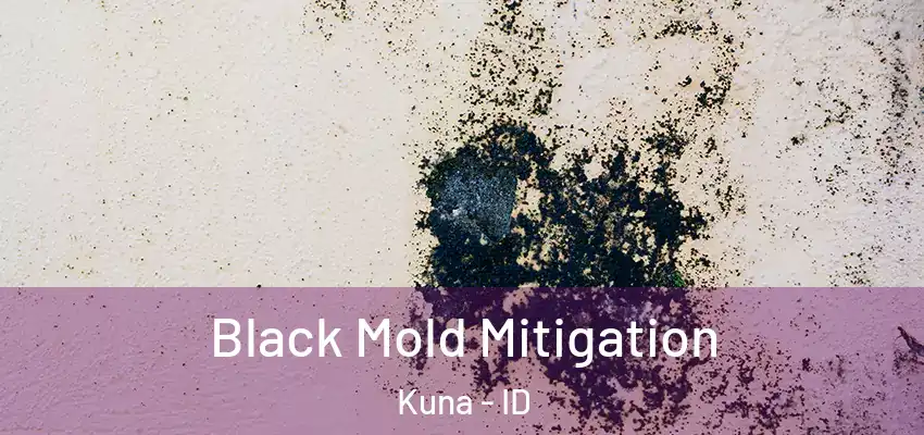  Black Mold Mitigation Kuna - ID