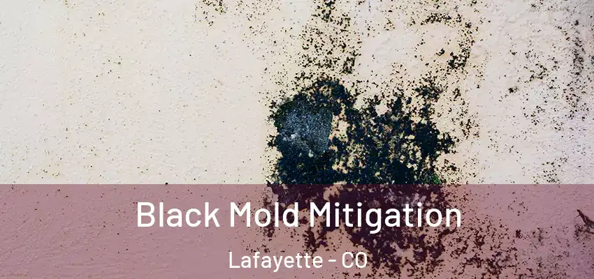 Black Mold Mitigation Lafayette - CO
