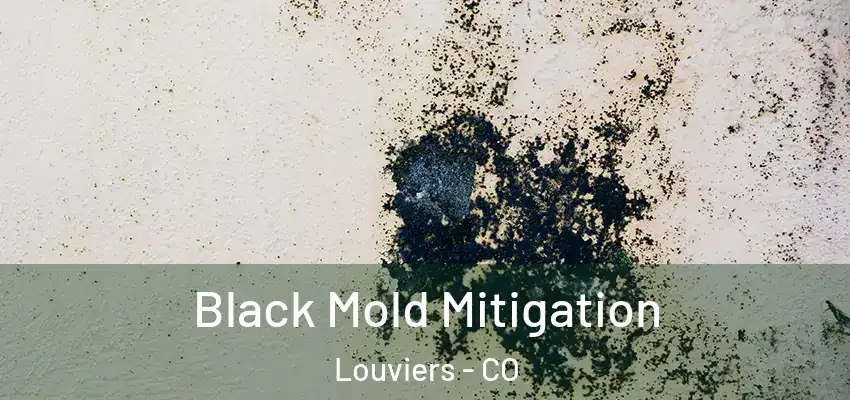  Black Mold Mitigation Louviers - CO