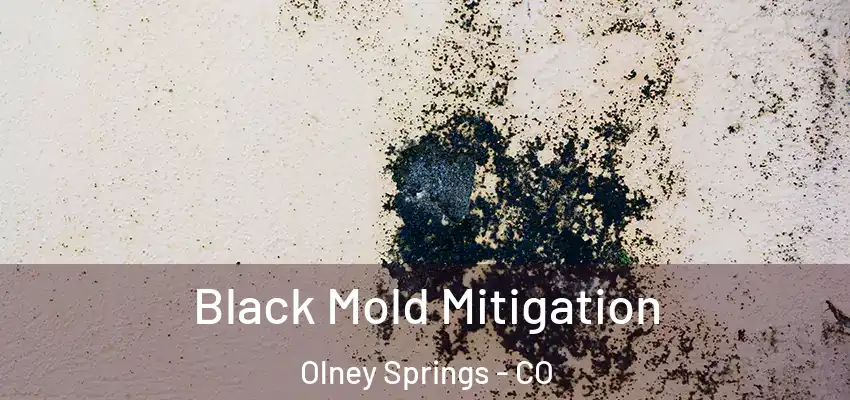  Black Mold Mitigation Olney Springs - CO