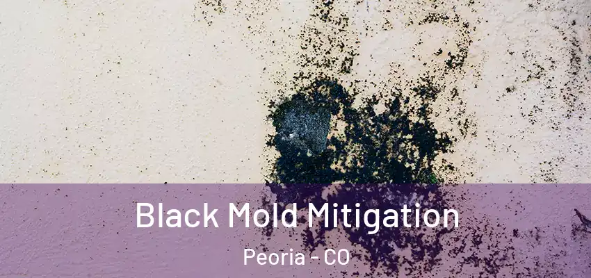  Black Mold Mitigation Peoria - CO