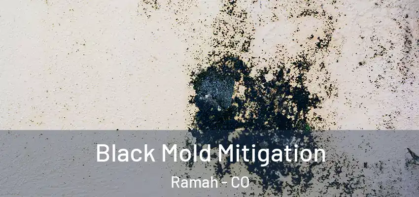 Black Mold Mitigation Ramah - CO