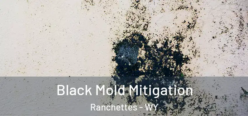  Black Mold Mitigation Ranchettes - WY