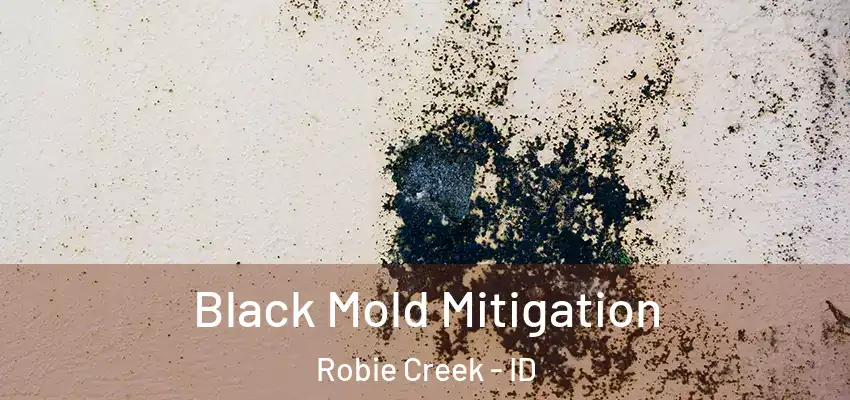  Black Mold Mitigation Robie Creek - ID