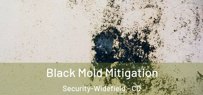 Black Mold Mitigation Security-Widefield - CO