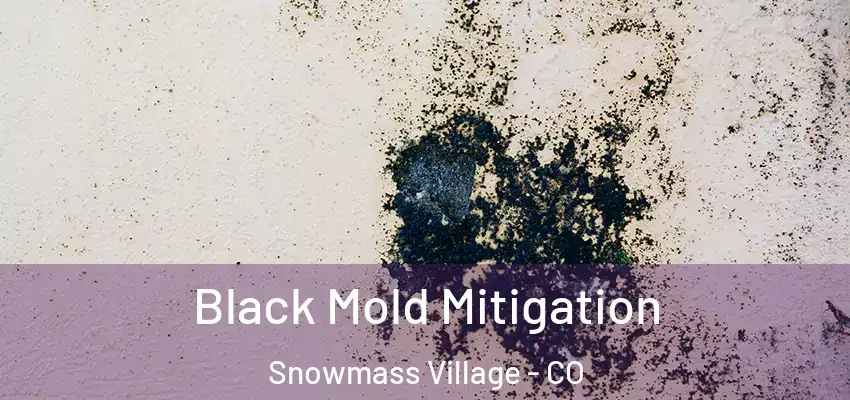  Black Mold Mitigation Snowmass Village - CO