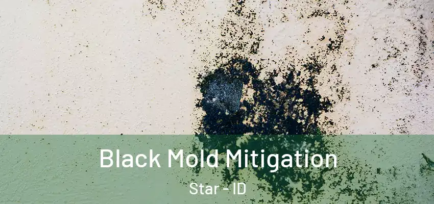  Black Mold Mitigation Star - ID