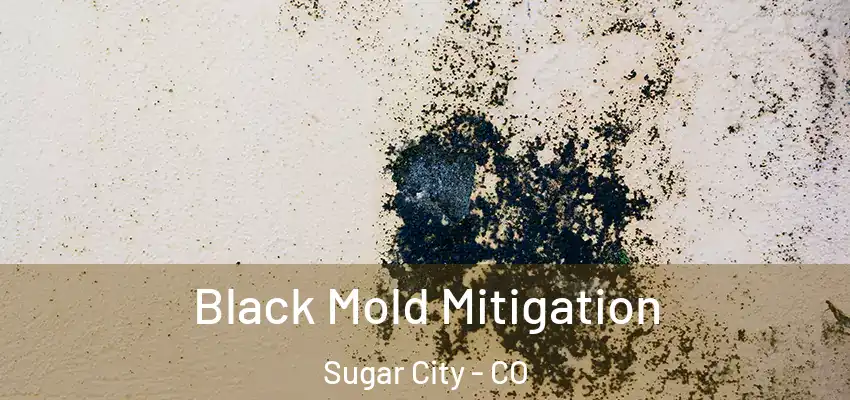Black Mold Mitigation Sugar City - CO