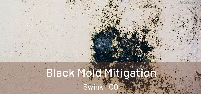 Black Mold Mitigation Swink - CO