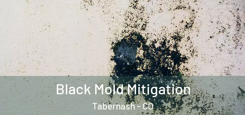 Black Mold Mitigation Tabernash - CO