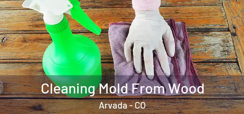  Cleaning Mold From Wood Arvada - CO