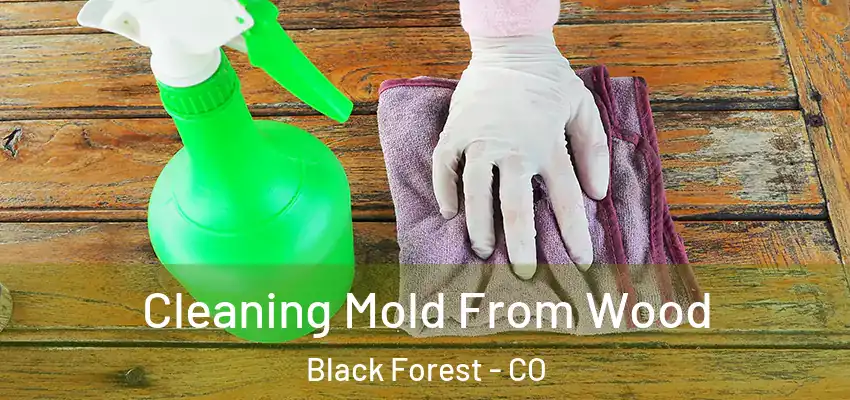  Cleaning Mold From Wood Black Forest - CO