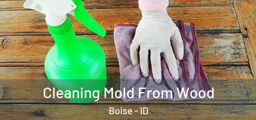  Cleaning Mold From Wood Boise - ID