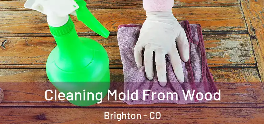  Cleaning Mold From Wood Brighton - CO
