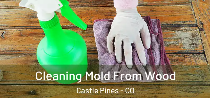  Cleaning Mold From Wood Castle Pines - CO