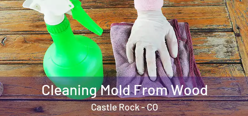  Cleaning Mold From Wood Castle Rock - CO