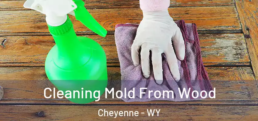  Cleaning Mold From Wood Cheyenne - WY