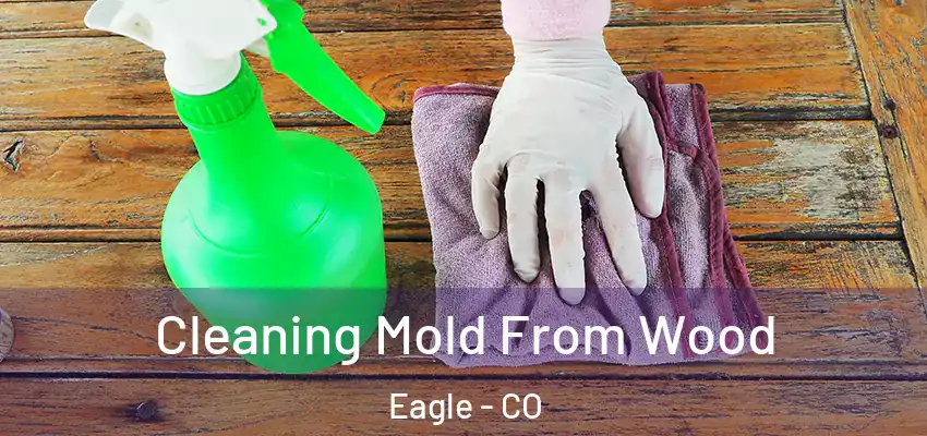 Cleaning Mold From Wood Eagle - CO