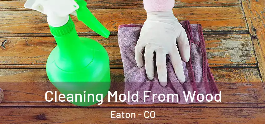  Cleaning Mold From Wood Eaton - CO