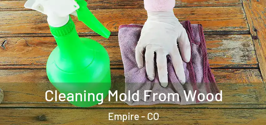 Cleaning Mold From Wood Empire - CO