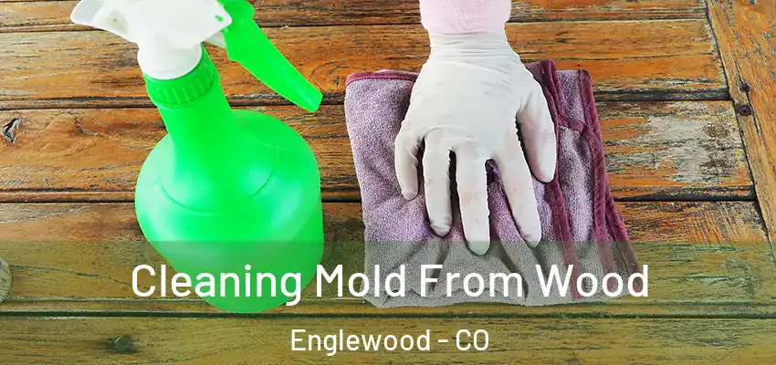  Cleaning Mold From Wood Englewood - CO