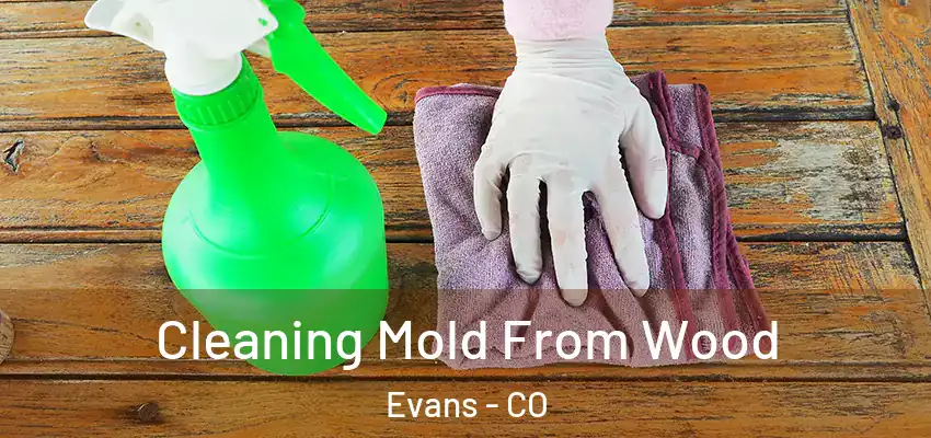 Cleaning Mold From Wood Evans - CO