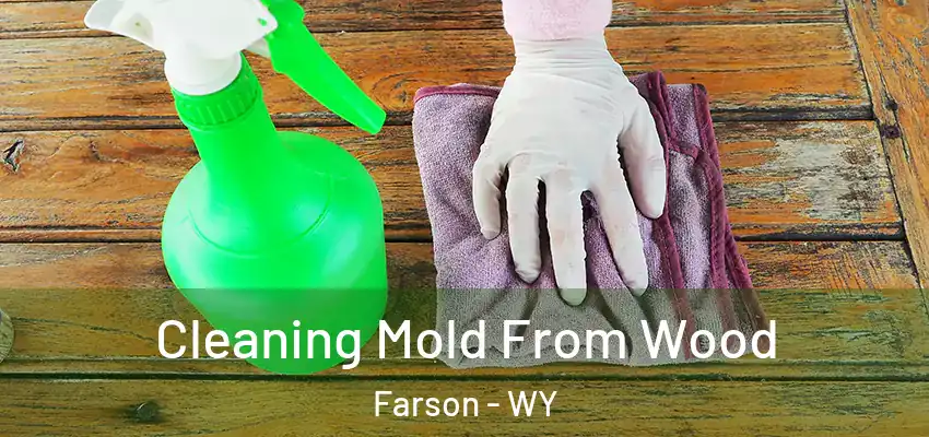  Cleaning Mold From Wood Farson - WY
