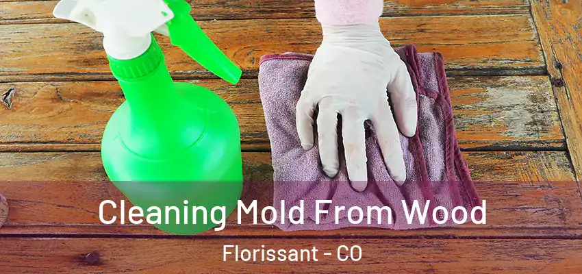  Cleaning Mold From Wood Florissant - CO