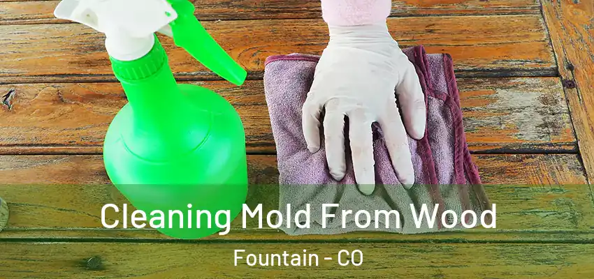  Cleaning Mold From Wood Fountain - CO