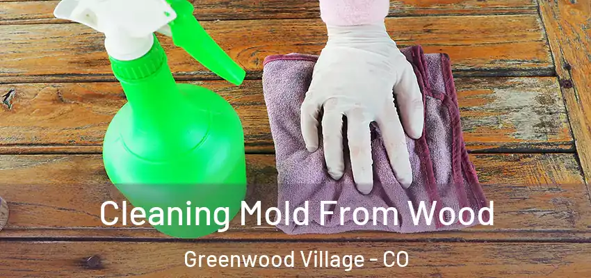  Cleaning Mold From Wood Greenwood Village - CO